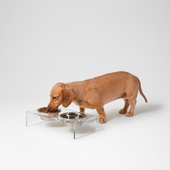Hiddin Lucite Pet Feeder