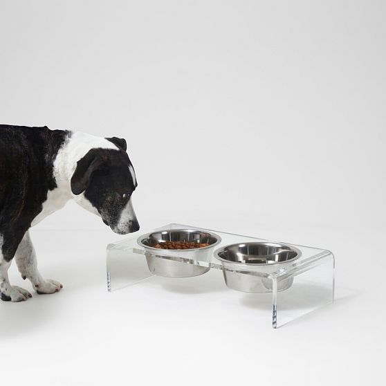 Hiddin Lucite Pet Feeder