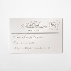 Silver Birth Announcement Keepsake