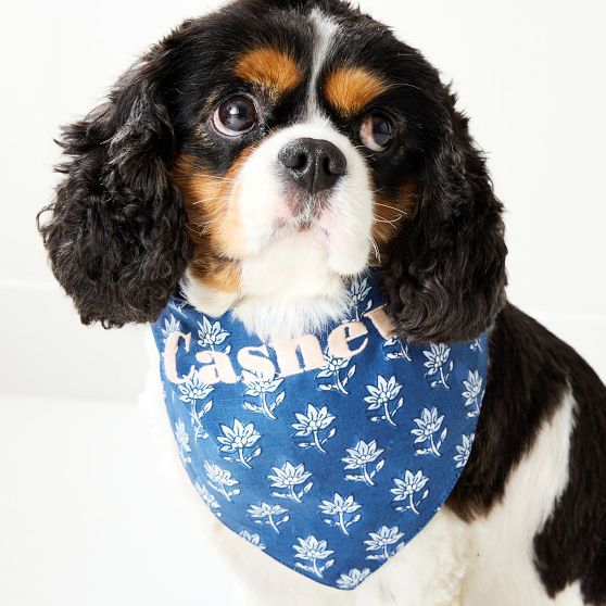 Patterned Dog Bandana