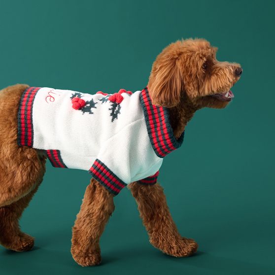 Knit Dog Sweater